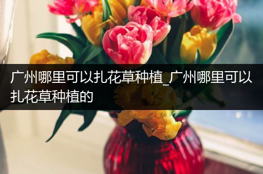 广州哪里可以扎花草种植_广州哪里可以扎花草种植的