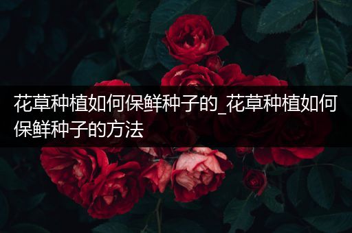 花草种植如何保鲜种子的_花草种植如何保鲜种子的方法