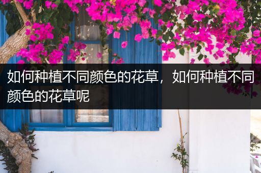 如何种植不同颜色的花草，如何种植不同颜色的花草呢