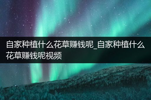 自家种植什么花草赚钱呢_自家种植什么花草赚钱呢视频