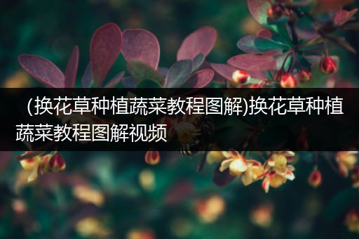 （换花草种植蔬菜教程图解)换花草种植蔬菜教程图解视频