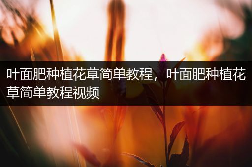 叶面肥种植花草简单教程，叶面肥种植花草简单教程视频