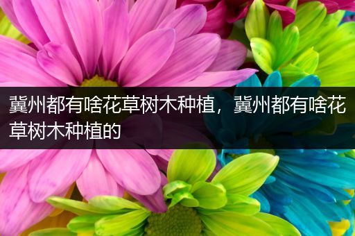 冀州都有啥花草树木种植，冀州都有啥花草树木种植的