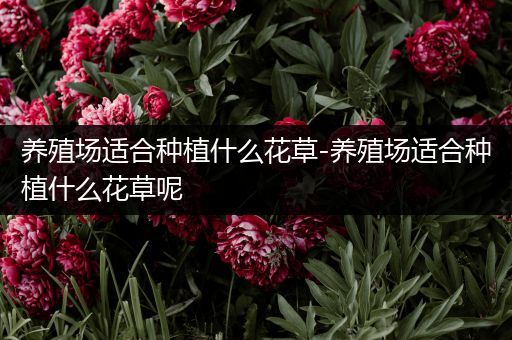 养殖场适合种植什么花草-养殖场适合种植什么花草呢