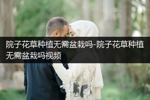 院子花草种植无需盆栽吗-院子花草种植无需盆栽吗视频