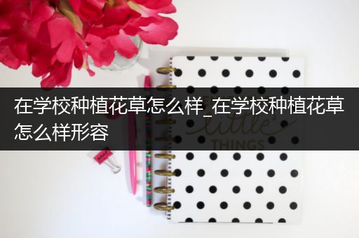 在学校种植花草怎么样_在学校种植花草怎么样形容