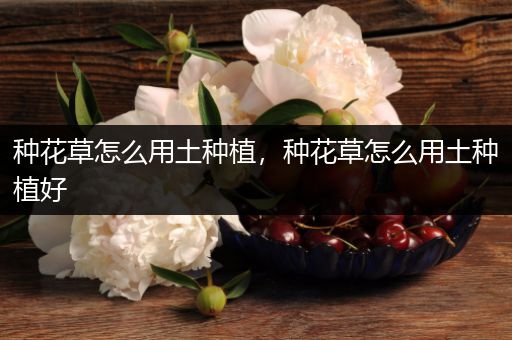 种花草怎么用土种植，种花草怎么用土种植好
