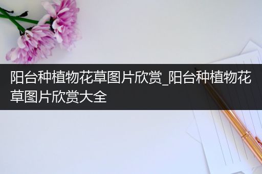 阳台种植物花草图片欣赏_阳台种植物花草图片欣赏大全