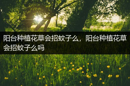 阳台种植花草会招蚊子么，阳台种植花草会招蚊子么吗