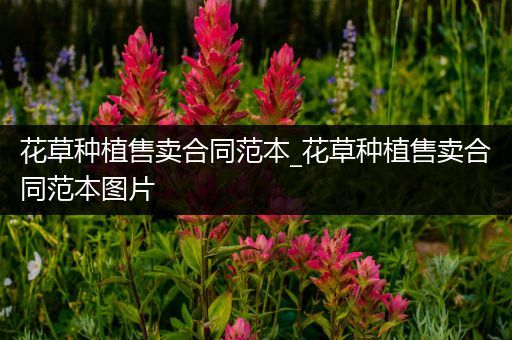 花草种植售卖合同范本_花草种植售卖合同范本图片