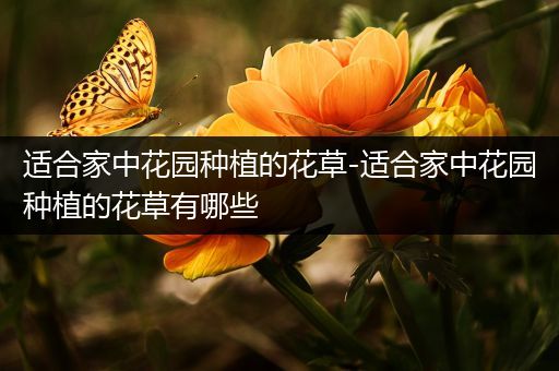 适合家中花园种植的花草-适合家中花园种植的花草有哪些