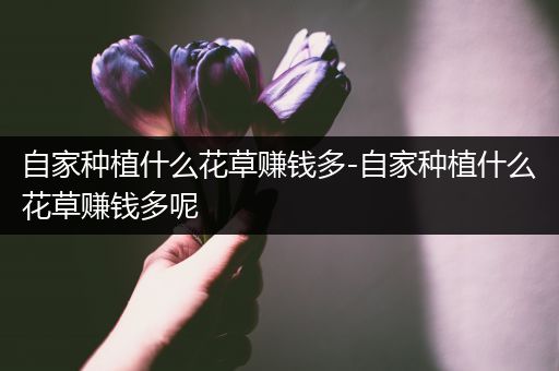 自家种植什么花草赚钱多-自家种植什么花草赚钱多呢