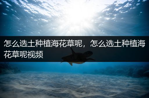 怎么选土种植海花草呢，怎么选土种植海花草呢视频