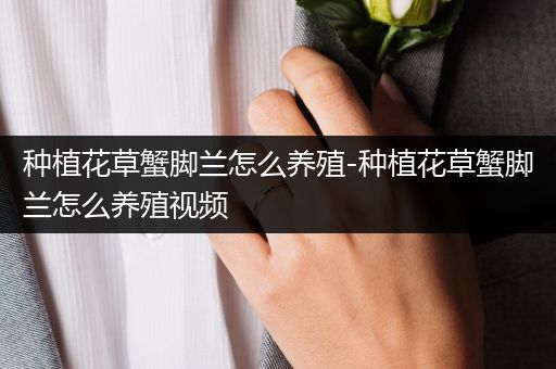 种植花草蟹脚兰怎么养殖-种植花草蟹脚兰怎么养殖视频
