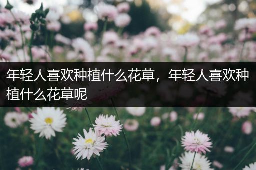 年轻人喜欢种植什么花草，年轻人喜欢种植什么花草呢