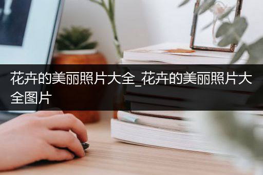 花卉的美丽照片大全_花卉的美丽照片大全图片