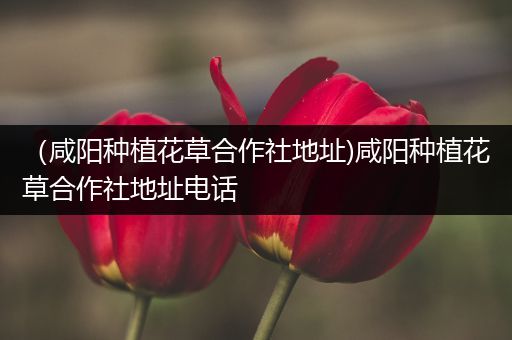 （咸阳种植花草合作社地址)咸阳种植花草合作社地址电话
