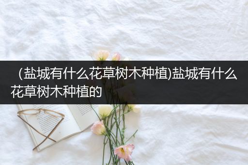 （盐城有什么花草树木种植)盐城有什么花草树木种植的