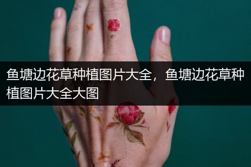 鱼塘边花草种植图片大全，鱼塘边花草种植图片大全大图