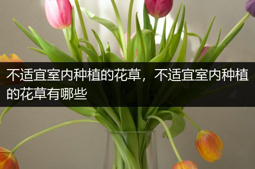 不适宜室内种植的花草，不适宜室内种植的花草有哪些