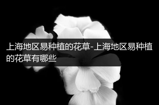 上海地区易种植的花草-上海地区易种植的花草有哪些
