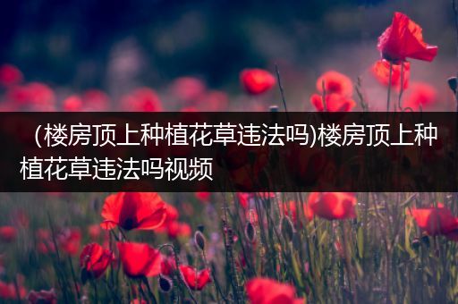 （楼房顶上种植花草违法吗)楼房顶上种植花草违法吗视频