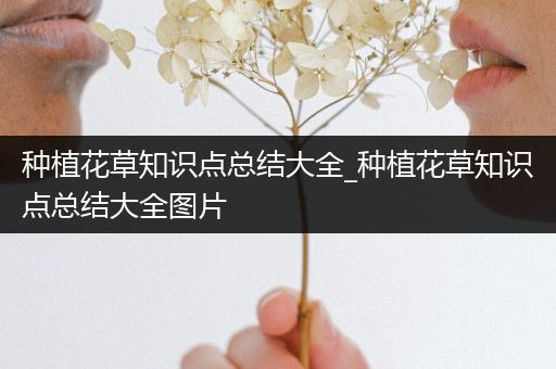 种植花草知识点总结大全_种植花草知识点总结大全图片