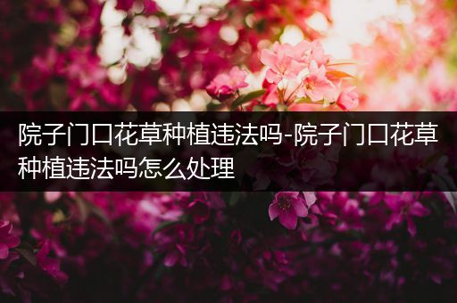 院子门口花草种植违法吗-院子门口花草种植违法吗怎么处理