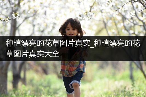 种植漂亮的花草图片真实_种植漂亮的花草图片真实大全