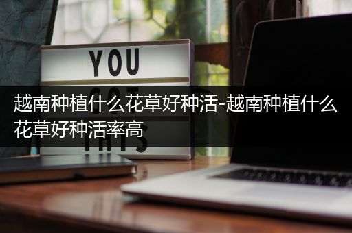 越南种植什么花草好种活-越南种植什么花草好种活率高