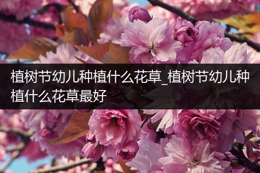 植树节幼儿种植什么花草_植树节幼儿种植什么花草最好
