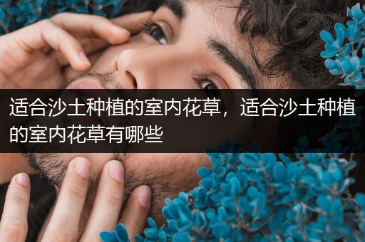 适合沙土种植的室内花草，适合沙土种植的室内花草有哪些