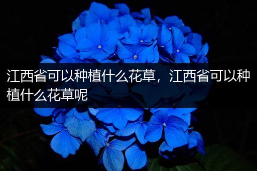 江西省可以种植什么花草，江西省可以种植什么花草呢