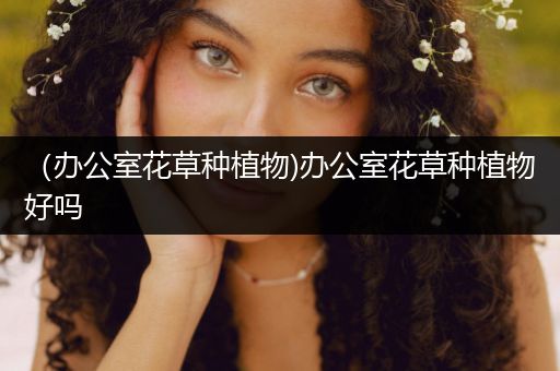 （办公室花草种植物)办公室花草种植物好吗