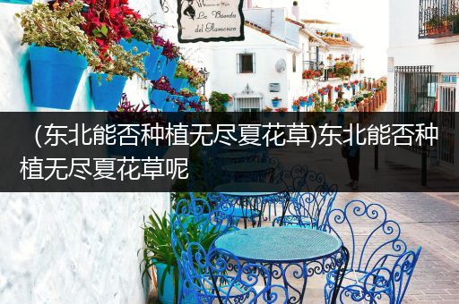 （东北能否种植无尽夏花草)东北能否种植无尽夏花草呢