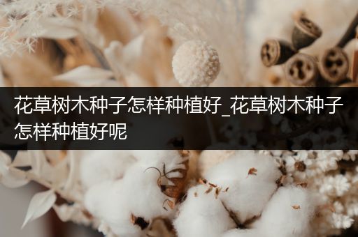 花草树木种子怎样种植好_花草树木种子怎样种植好呢