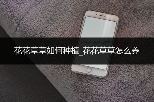 花花草草如何种植_花花草草怎么养