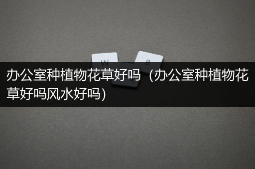 办公室种植物花草好吗（办公室种植物花草好吗风水好吗）
