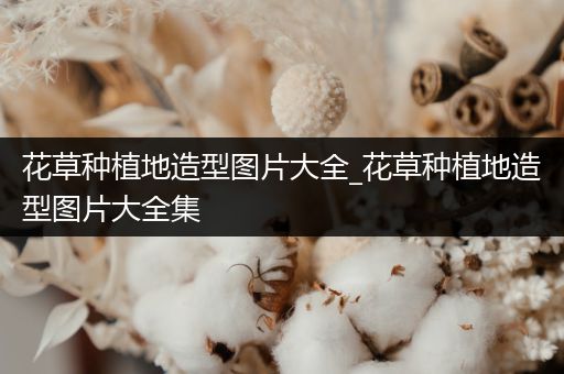 花草种植地造型图片大全_花草种植地造型图片大全集