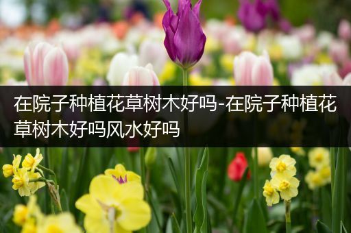 在院子种植花草树木好吗-在院子种植花草树木好吗风水好吗
