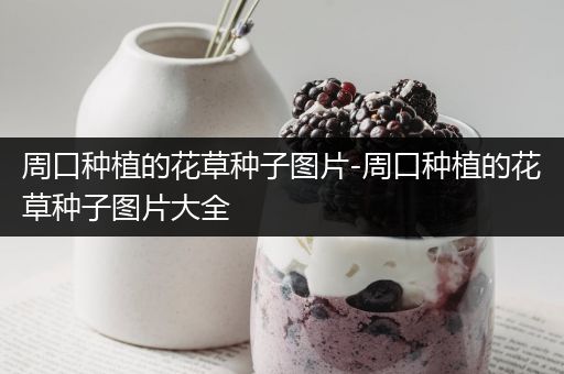 周口种植的花草种子图片-周口种植的花草种子图片大全