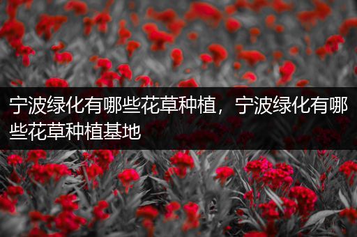 宁波绿化有哪些花草种植，宁波绿化有哪些花草种植基地