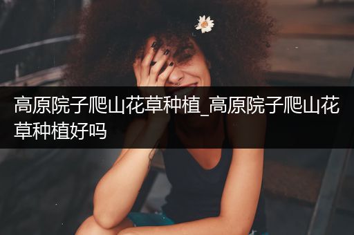 高原院子爬山花草种植_高原院子爬山花草种植好吗