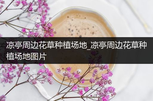 凉亭周边花草种植场地_凉亭周边花草种植场地图片