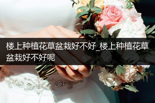 楼上种植花草盆栽好不好_楼上种植花草盆栽好不好呢
