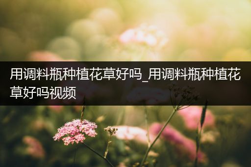 用调料瓶种植花草好吗_用调料瓶种植花草好吗视频