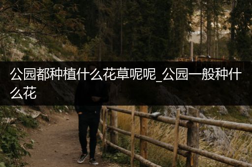 公园都种植什么花草呢呢_公园一般种什么花