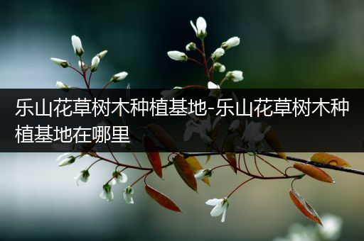 乐山花草树木种植基地-乐山花草树木种植基地在哪里