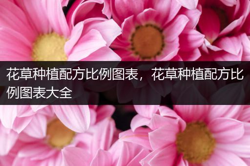 花草种植配方比例图表，花草种植配方比例图表大全