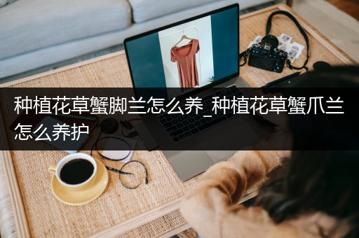 种植花草蟹脚兰怎么养_种植花草蟹爪兰怎么养护